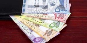 سعر الريال السعودي أمام الجنيه اليوم الثلاثاء - اليوم الإخباري