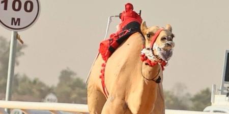 سلطان بن حمدان يشيد بإنجاز هجن الرئاسة في الجنادرية - اليوم الإخباري