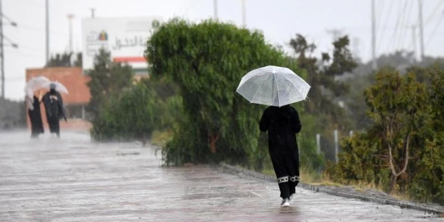 عاجل | 60 محطة رصد تسجل أمطارًا في 8 مناطق.. و"مكة المكرمة" أعلى معدل هطول - اليوم الإخباري