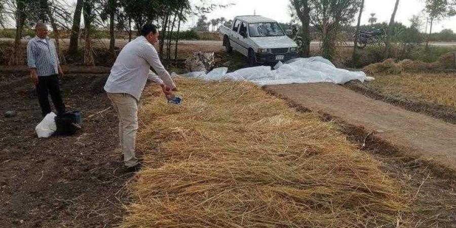 الزراعة تصدر تقرير متابعة منظومة جمع وتدوير قش الأرز - اليوم الإخباري