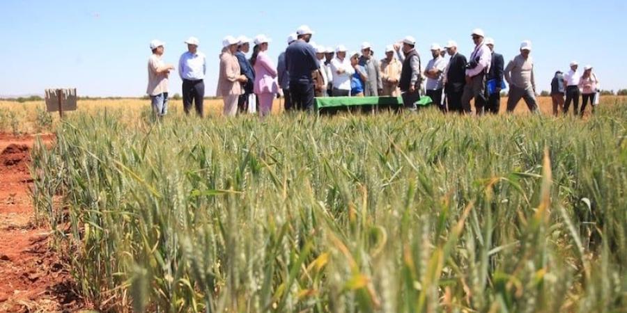 الأكبر في القارة الإفريقية.. "الفلاحة الأمريكية" تنظم أول بعثة إلى المغرب - اليوم الإخباري