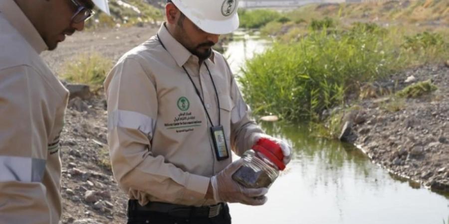 “مركز الالتزام البيئي” يعالج نحو 6 آلاف بلاغ خلال عام - اليوم الإخباري