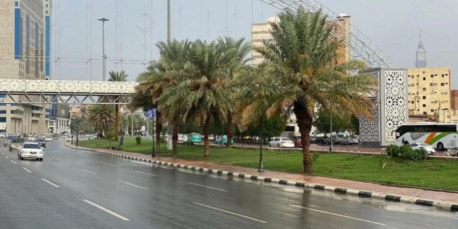 طقس الخميس.. أتربة مثارة على أجزاء من منطقة الرياض - اليوم الإخباري