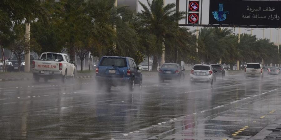 طقس الشرقية.. أمطار خفيفة ورياح نشطة على الأحساء وبقيق - اليوم الإخباري