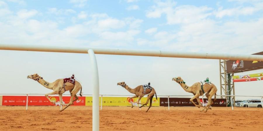 بن حثلين: الفوز في مهرجان خادم الحرمين الشريفين يعني الكثير - اليوم الإخباري